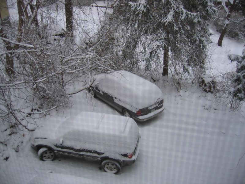 Snowed in (Syracuse, NY)